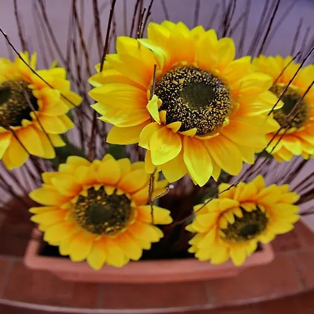 Italia Hotell Cortona